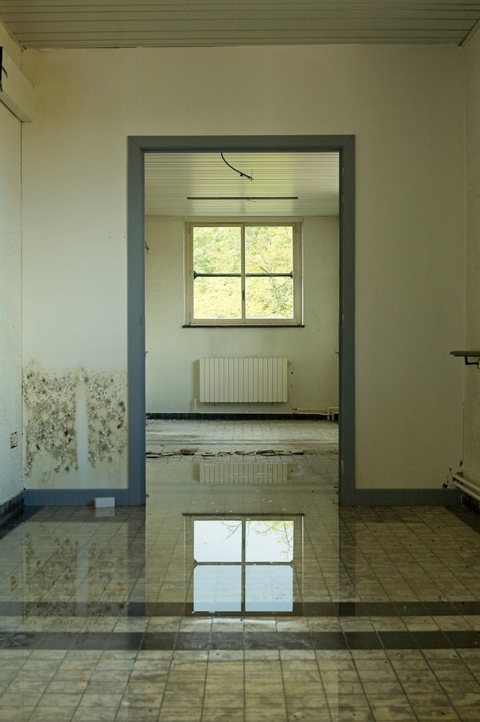 An abandoned room with a flooded floor reflecting a window, highlighting decay and neglect.