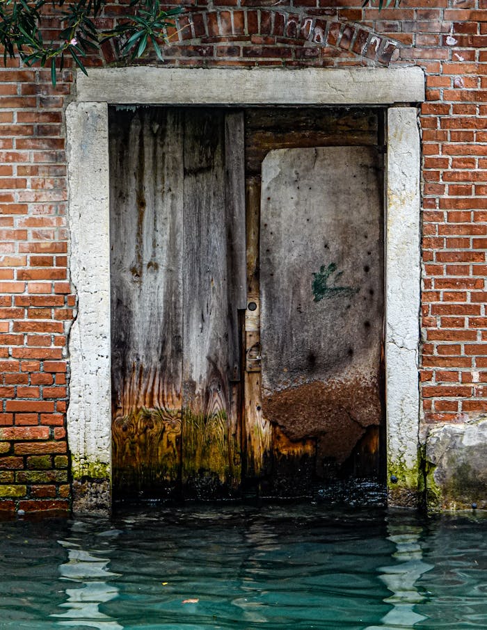 A rustic wooden door surrounded by brick, partially submerged in water, capturing the unique charm of Venice.