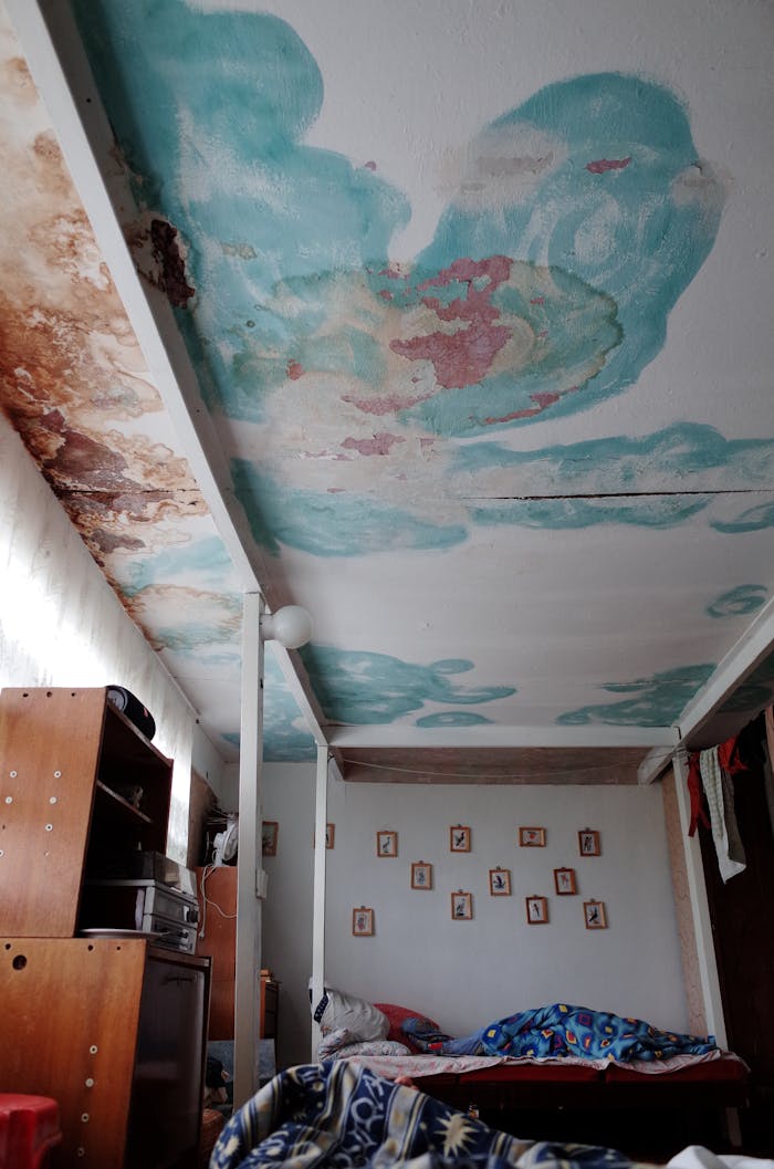 An old bedroom featuring unique ceiling art with peeling paint and vintage furnishings.